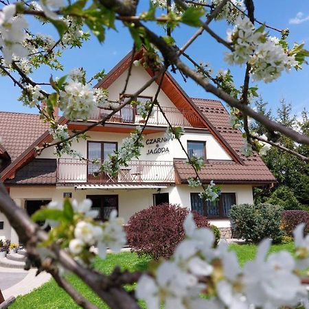 Czarna Jagoda Czarna Góra المظهر الخارجي الصورة