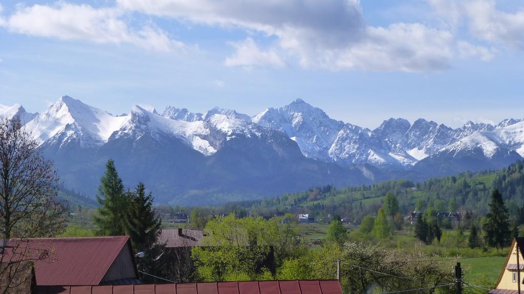 Czarna Jagoda Czarna Góra المظهر الخارجي الصورة